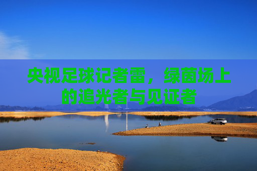 央视足球记者雷,绿茵场上的追光者与见证者