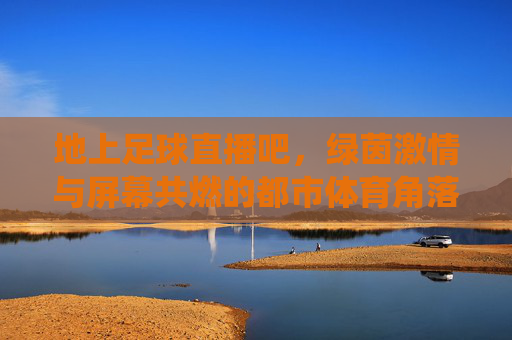 地上足球直播吧，绿茵激情与屏幕共燃的都市体育角落——不止是看球，更是情怀的栖息地