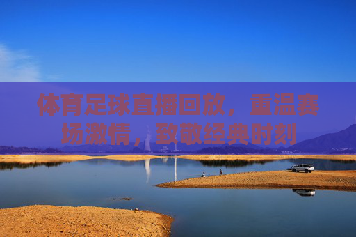 体育足球直播回放，重温赛场激情，致敬经典时刻