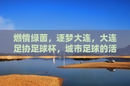 燃情绿茵,逐梦大连,大连足协足球杯,城市足球的活力脉搏,燃情绿茵,逐梦大连,大连足协足球杯,城市足球的活力脉搏