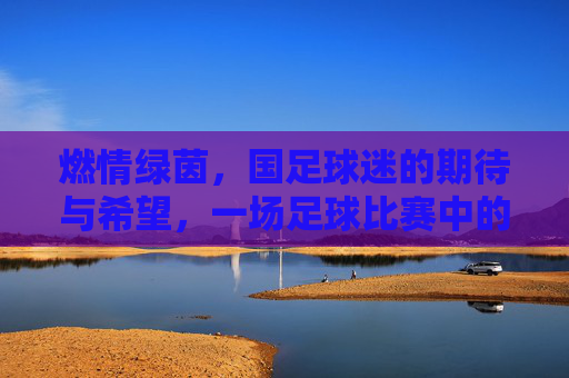 燃情绿茵,国足球迷的期待与希望,一场足球比赛中的家国情怀与体育精神