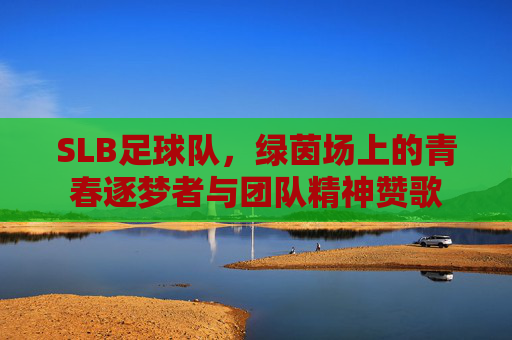 SLB足球队,绿茵场上的青春逐梦者与团队精神赞歌