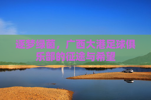 逐梦绿茵，广西大港足球俱乐部的征途与希望