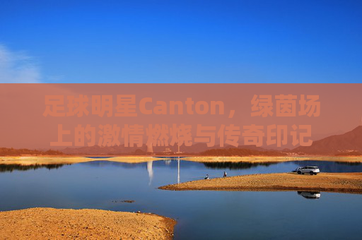 足球明星Canton，绿茵场上的激情燃烧与传奇印记