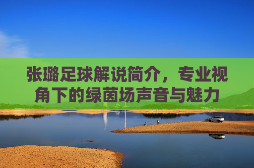张璐足球解说简介,专业视角下的绿茵场声音与魅力