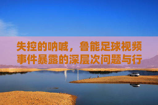 失控的呐喊，鲁能足球视频事件暴露的深层次问题与行业反思，失控的呐喊，鲁能足球视频事件暴露的深层次问题与行业反思