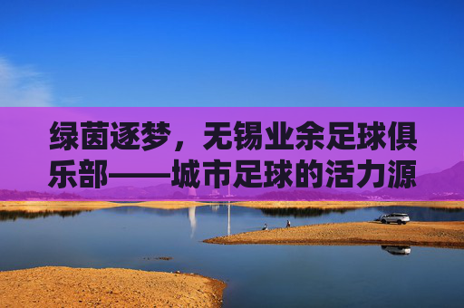 绿茵逐梦,无锡业余足球俱乐部——城市足球的活力源泉与社区精神纽带