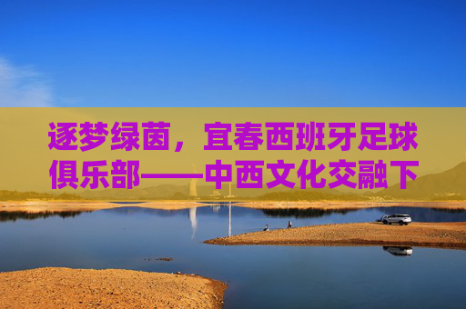 逐梦绿茵，宜春西班牙足球俱乐部——中西文化交融下的足球新篇章