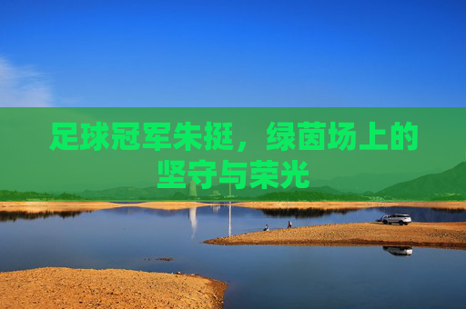 足球冠军朱挺,绿茵场上的坚守与荣光