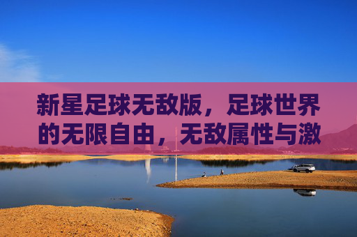 新星足球无敌版,足球世界的无限自由,无敌属性与激情体验的完美融合,新星足球无敌版,足球世界的无限自由与激情体验的完美融合