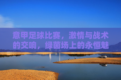 意甲足球比赛,激情与战术的交响,绿茵场上的永恒魅力,意甲足球,激情与战术的交响,绿茵场上的永恒魅力
