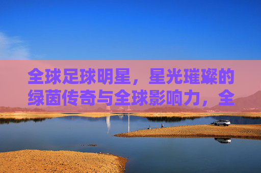 全球足球明星,星光璀璨的绿茵传奇与全球影响力,全球足球明星,星光璀璨的绿茵传奇与全球影响力
