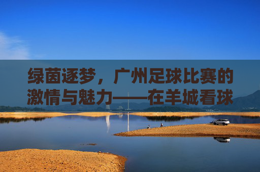 绿茵逐梦，广州足球比赛的激情与魅力——在羊城看球，感受足球的温度与城市的活力，绿茵逐梦，广州足球比赛的激情与魅力——在羊城看球，感受足球的温度与城市的活力