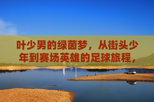 叶少男的绿茵梦,从街头少年到赛场英雄的足球旅程,叶少男的绿茵梦,从街头少年到赛场英雄的足球旅程