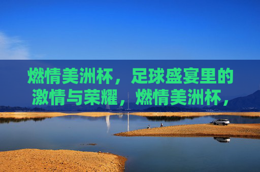 燃情美洲杯,足球盛宴里的激情与荣耀,燃情美洲杯,足球盛宴里的激情与荣耀