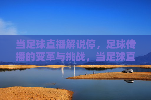 当足球直播解说停，足球传播的变革与挑战，当足球直播解说停，足球传播的变革与挑战