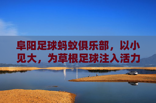 阜阳足球蚂蚁俱乐部，以小见大，为草根足球注入活力，阜阳足球蚂蚁俱乐部，以小见大，为草根足球注入活力