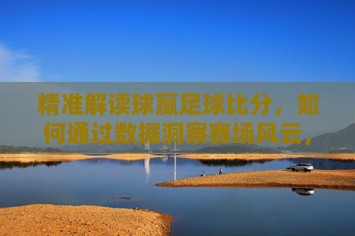 精准解读球赢足球比分，如何通过数据洞察赛场风云，提升观赛与竞猜体验，数据洞察赛场风云，精准解读球赢足球比分，提升观赛与竞猜体验
