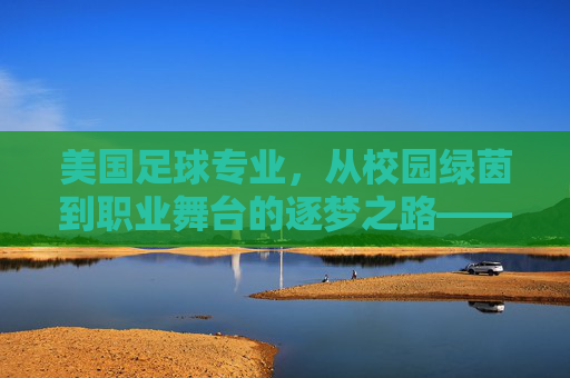 美国足球专业,从校园绿茵到职业舞台的逐梦之路——解析NCAA体系与职业发展的衔接