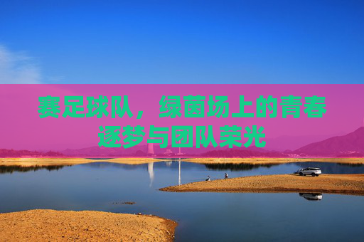 赛足球队，绿茵场上的青春逐梦与团队荣光