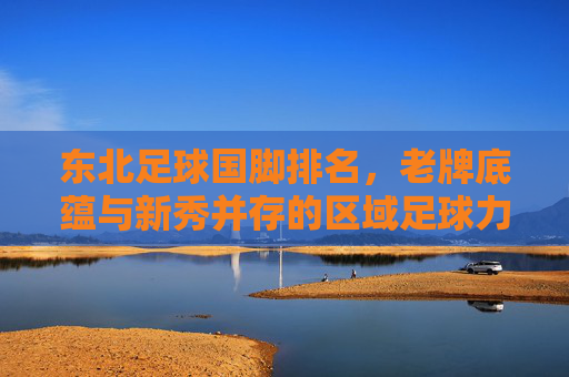 东北足球国脚排名,老牌底蕴与新秀并存的区域足球力量,东北足球国脚排名,老牌底蕴与新秀并存的区域足球力量