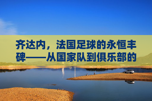 齐达内，法国足球的永恒丰碑——从国家队到俱乐部的传奇之旅
