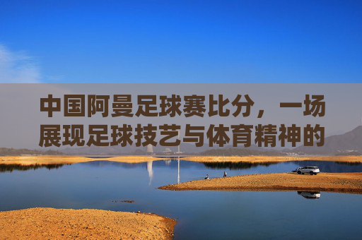 中国阿曼足球赛比分,一场展现足球技艺与体育精神的竞技对决
