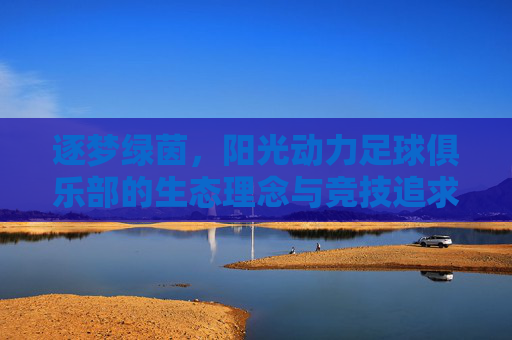 逐梦绿茵,阳光动力足球俱乐部的生态理念与竞技追求,逐梦绿茵,阳光动力足球俱乐部的生态理念与竞技追求