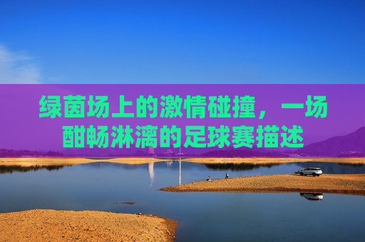 绿茵场上的激情碰撞，一场酣畅淋漓的足球赛描述