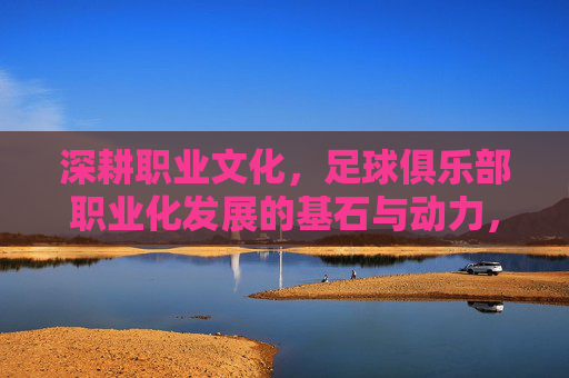 深耕职业文化，足球俱乐部职业化发展的基石与动力，深耕职业文化，足球俱乐部职业化发展的基石与动力