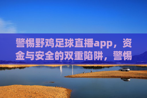 警惕野鸡足球直播app，资金与安全的双重陷阱，警惕野鸡足球直播app，资金与安全的双重陷阱