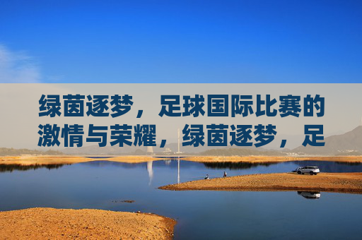 绿茵逐梦,足球国际比赛的激情与荣耀,绿茵逐梦,足球国际比赛的激情与荣耀