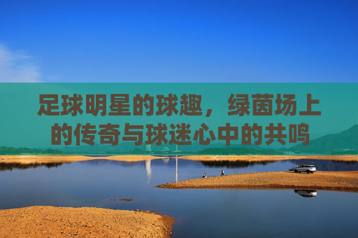 足球明星的球趣，绿茵场上的传奇与球迷心中的共鸣