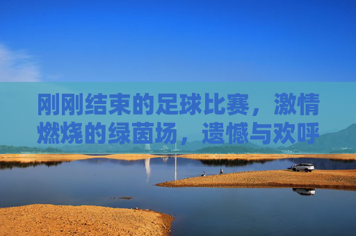 刚刚结束的足球比赛，激情燃烧的绿茵场，遗憾与欢呼交织的瞬间