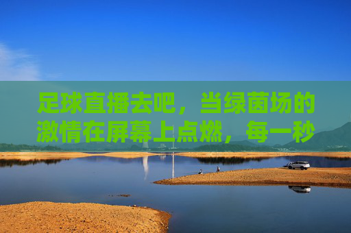 足球直播去吧，当绿茵场的激情在屏幕上点燃，每一秒都值得全力以赴，足球直播，绿茵激情点燃，每一秒都值得全力以赴