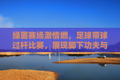 绿茵赛场激情燃，足球带球过杆比赛，展现脚下功夫与速度魅力
