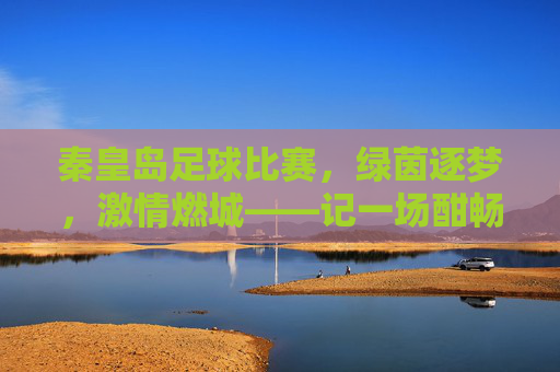 秦皇岛足球比赛,绿茵逐梦,激情燃城——记一场酣畅淋漓的足球盛宴,秦皇岛足球比赛,绿茵逐梦,激情燃城——记一场酣畅淋漓的足球盛宴