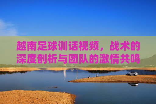越南足球训话视频,战术的深度剖析与团队的激情共鸣——教练的战术指令与球员的热血回应