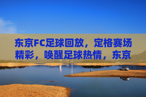 东京FC足球回放,定格赛场精彩,唤醒足球热情,东京FC足球回放,定格赛场精彩,唤醒足球热情