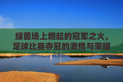 绿茵场上燃起的冠军之火,足球比赛夺冠的激情与荣耀,绿茵燃火,足球夺冠的激情与荣耀