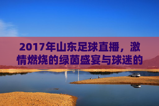 2017年山东足球直播,激情燃烧的绿茵盛宴与球迷的深度共鸣