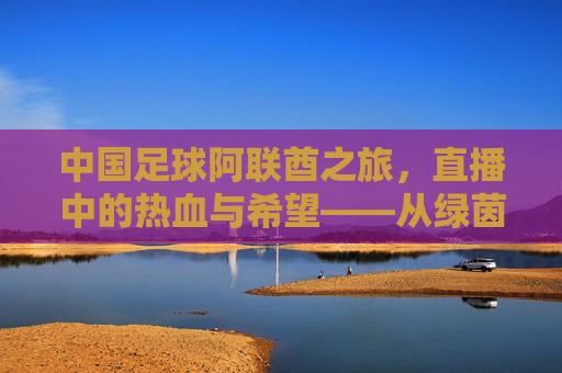 中国足球阿联酋之旅,直播中的热血与希望——从绿茵赛场到全球视野的见证,中国足球阿联酋之旅,直播里的热血与希望——绿茵赛场向全球视野的见证