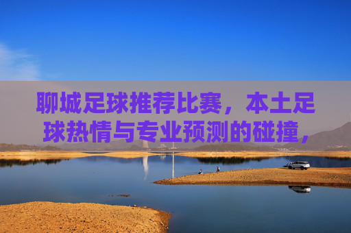 聊城足球推荐比赛,本土足球热情与专业预测的碰撞,助你精准把握赛场脉搏,聊城足球推荐,本土热情与专业预测的碰撞,助你精准把握赛场脉搏