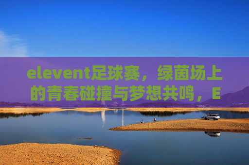 elevent足球赛，绿茵场上的青春碰撞与梦想共鸣，Elevent足球赛，绿茵场上的青春碰撞与梦想共鸣