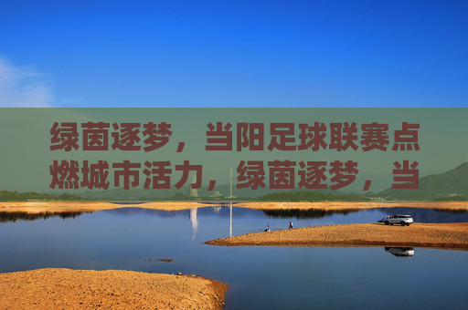绿茵逐梦,当阳足球联赛点燃城市活力,绿茵逐梦,当阳足球联赛点燃城市活力