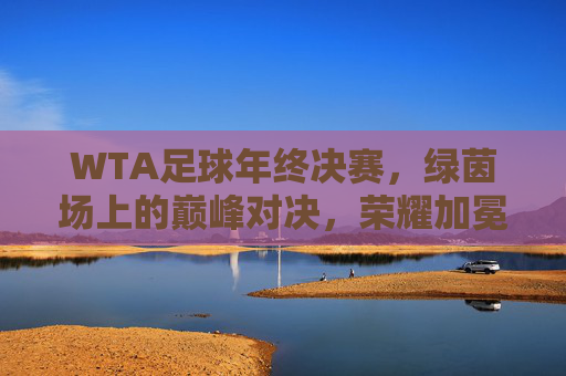 WTA足球年终决赛,绿茵场上的巅峰对决,荣耀加冕的璀璨时刻,WTA足球年终决赛,巅峰对决与荣耀加冕的璀璨时刻
