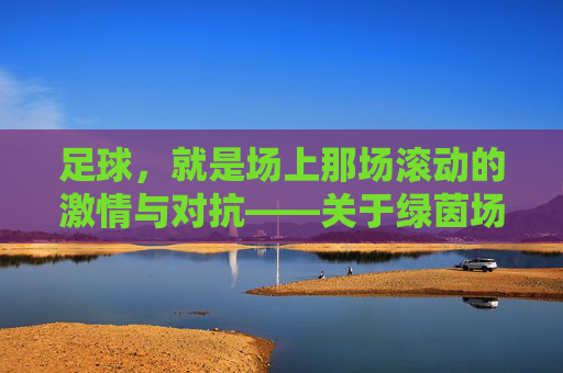 足球,就是场上那场滚动的激情与对抗——关于绿茵场上最纯粹的游戏