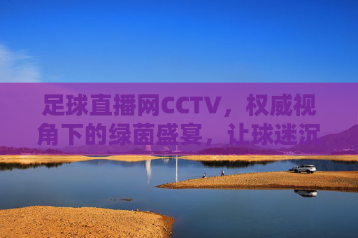 足球直播网CCTV,权威视角下的绿茵盛宴,让球迷沉浸式感受足球魅力