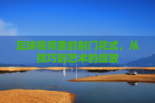 足球视频里的射门花式,从技巧到艺术的绽放