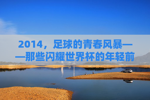 2014,足球的青春风暴——那些闪耀世界杯的年轻前锋